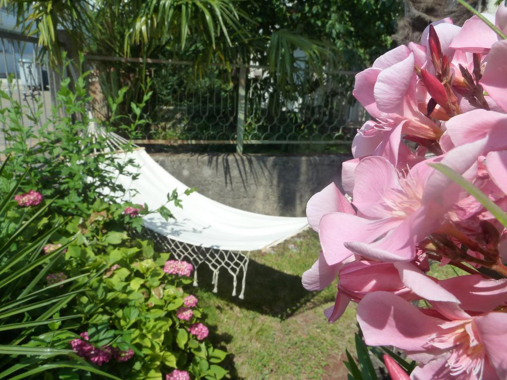 Rose *